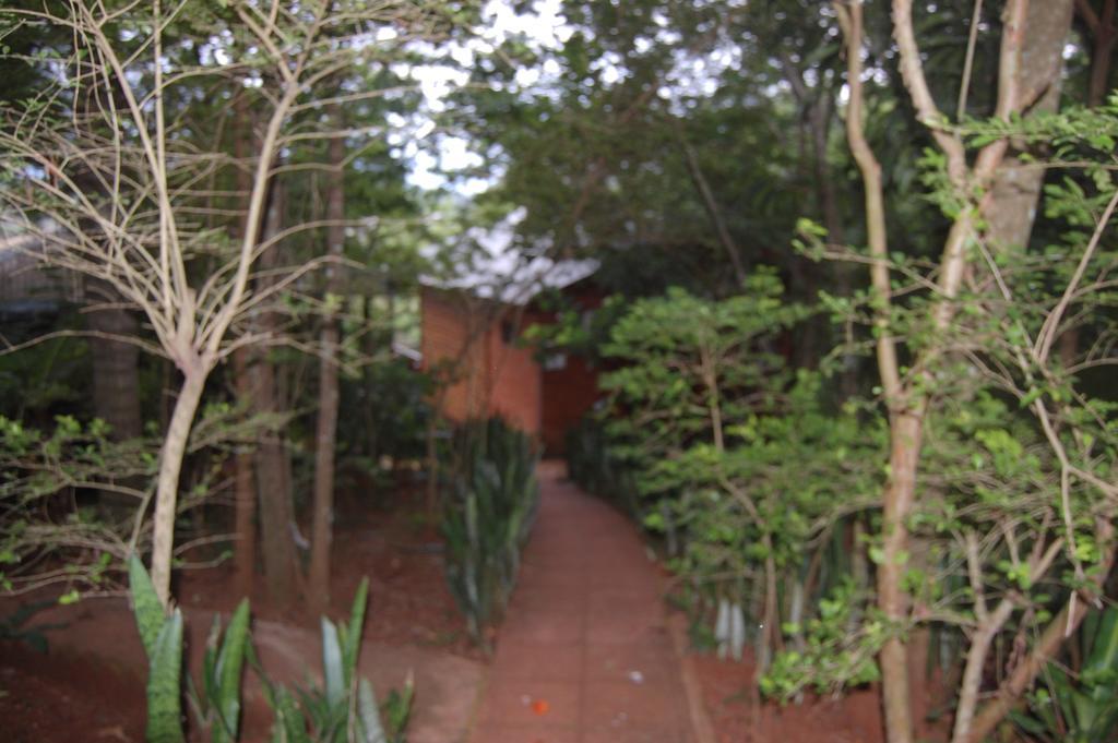 Panambi Lodge B&B Puerto Iguazú Exterior foto