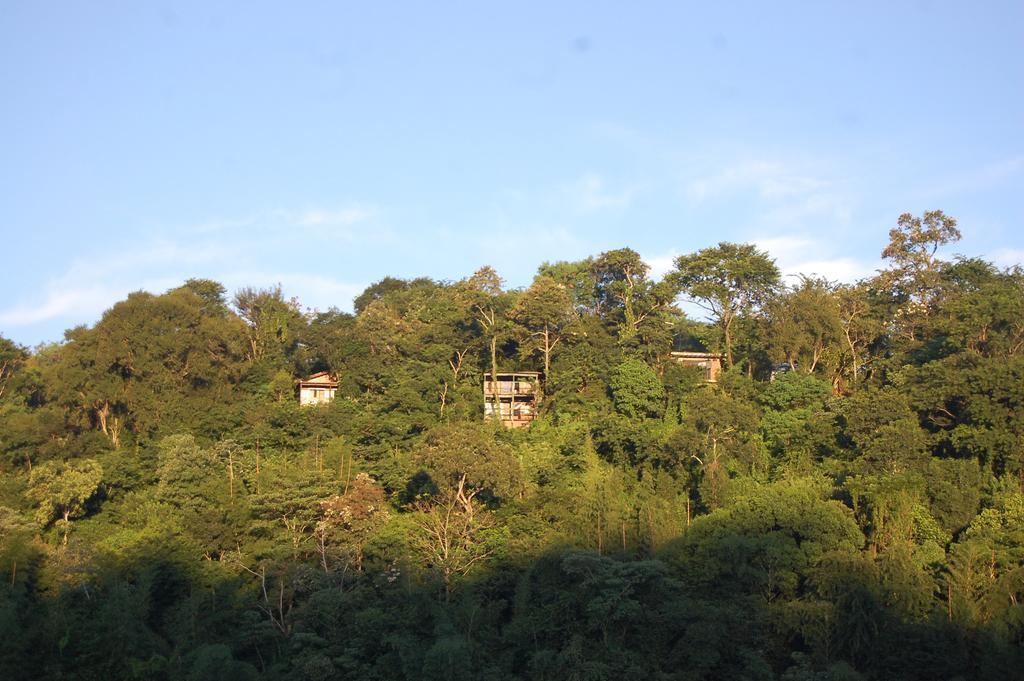 Panambi Lodge B&B Puerto Iguazú Exterior foto